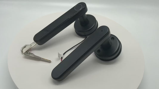 Cerraduras inteligentes para puerta delantera, Cerradura biométrica de huella dactilar inteligente
